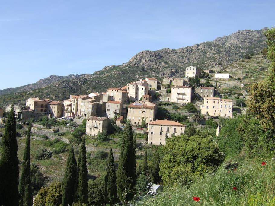 Vos Vacances A Lama France Corse Exterior foto